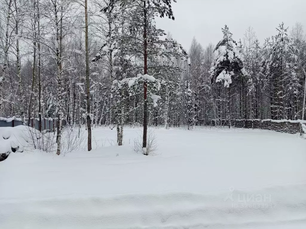 Участок в Ярославская область, Переславль-Залесский муниципальный ... - Фото 1
