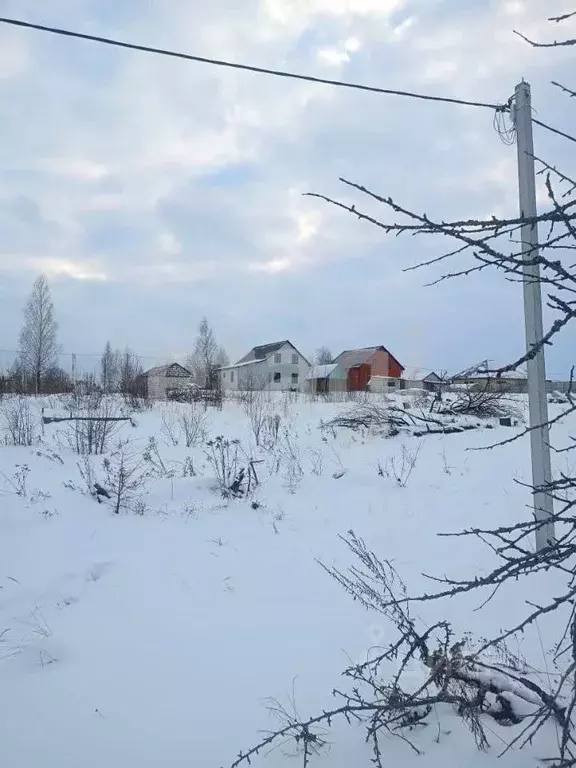 Участок в Брянская область, Брянский район, с. Глинищево  (10.7 сот.) - Фото 1