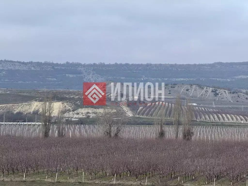 Участок в Севастополь с. Фронтовое, ул. Краснореченская (5.0 сот.) - Фото 2