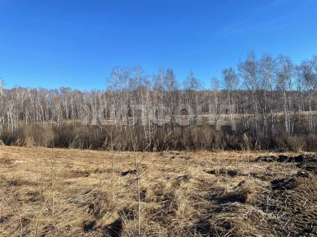 Участок в Новосибирская область, Новосибирский район, Станционный ... - Фото 1