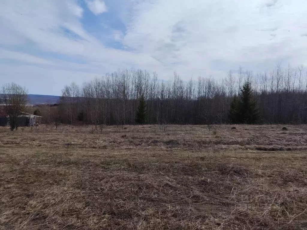 Участок в Пермский край, Лысьва Загородная ул. (12.0 сот.) - Фото 1