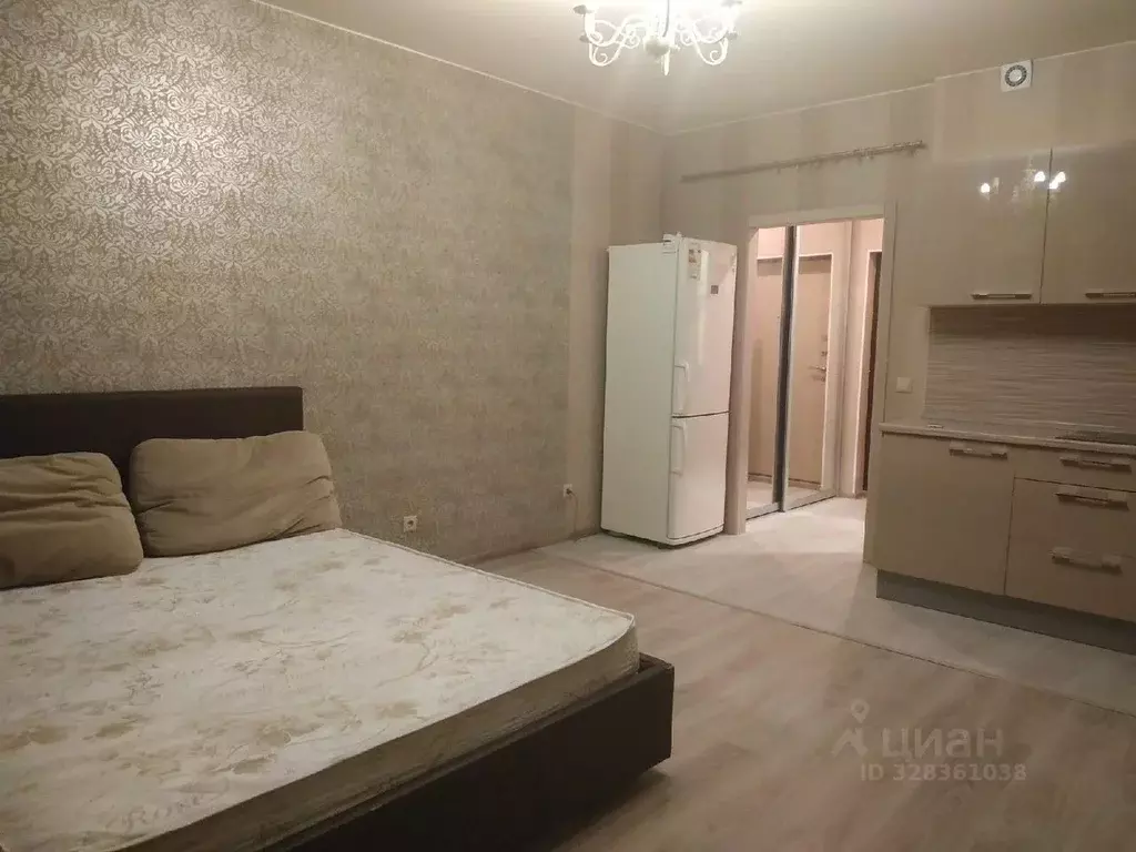 Студия Ленинградская область, Мурино Всеволожский район, просп. ... - Фото 1