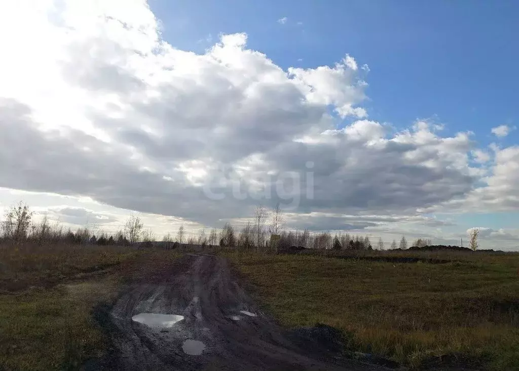 Участок в Кемеровский муниципальный округ, деревня Солонечная (10 м) - Фото 2