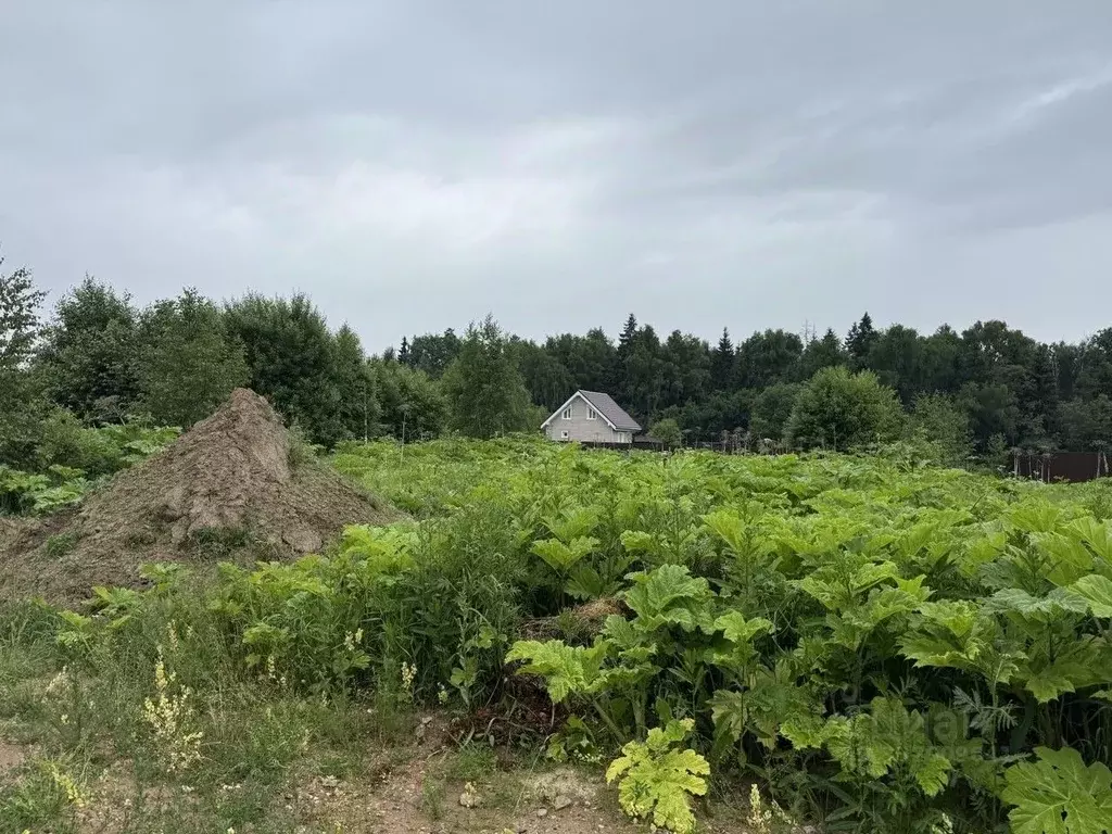 Участок в Московская область, Одинцовский городской округ, с. ... - Фото 1