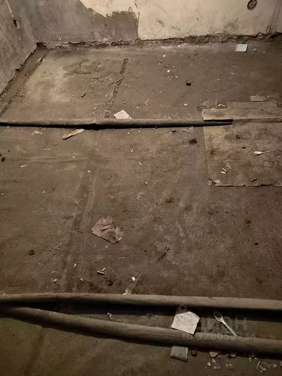 Помещение свободного назначения в Карелия, Петрозаводск ул. Свердлова, ... - Фото 1