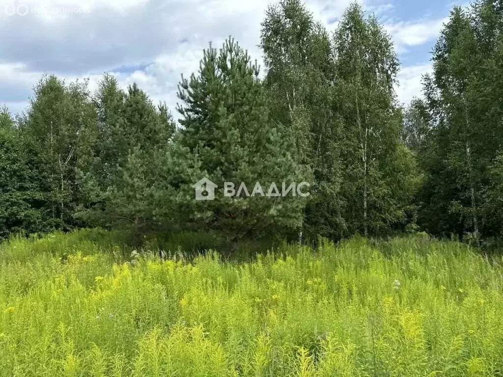 Участок в Нижегородская область, Городецкий муниципальный округ, ... - Фото 1