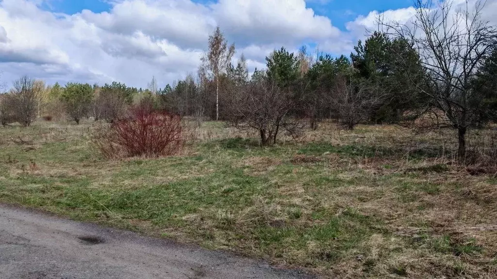 Участок в Ленинградская область, Приозерский район, Красноозерное ... - Фото 2