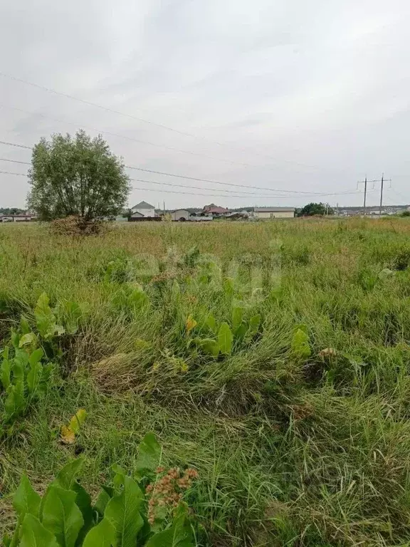 Участок в Курская область, Курский район, Моковский сельсовет, д. ... - Фото 0