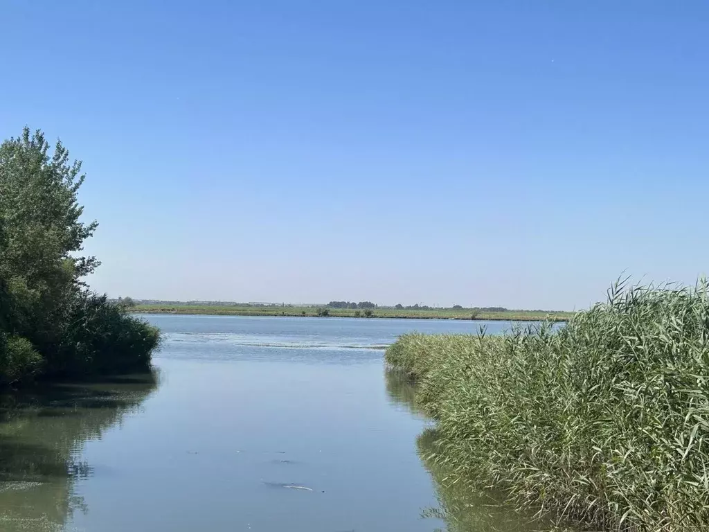 Участок в Ростовская область, Азовский район, Елизаветинское с/пос, ... - Фото 1