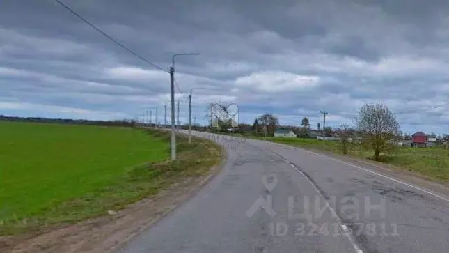 Участок в Ленинградская область, Волосовский район, Рабитицкое с/пос, ... - Фото 2