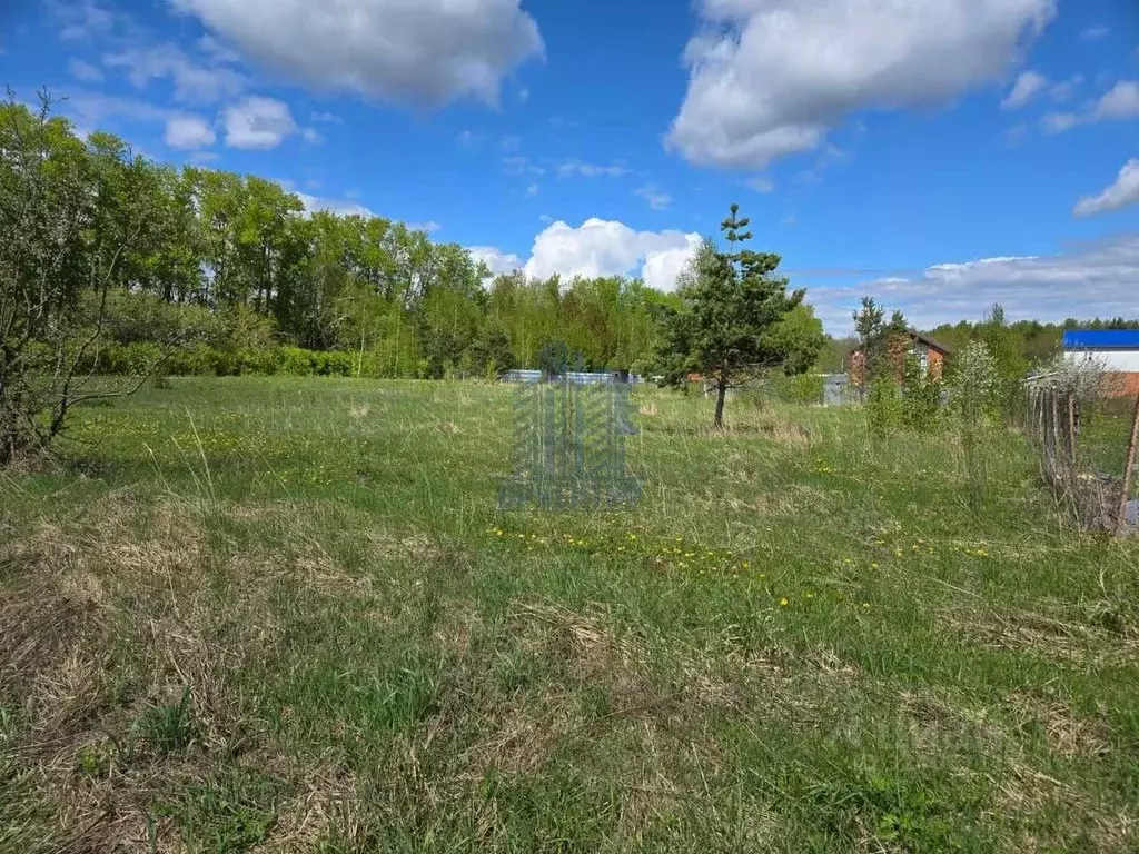 Участок в Чувашия, Чебоксарский муниципальный округ, д. Питикасы  ... - Фото 2