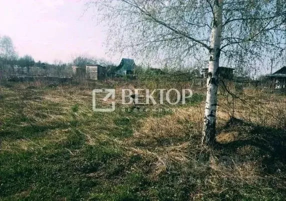 Участок в Ивановская область, Ивановский район, Богородское с/пос, ... - Фото 0