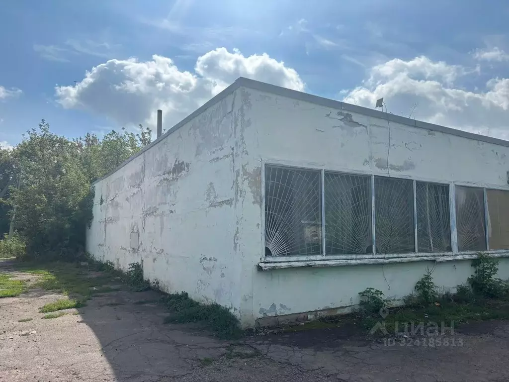 Помещение свободного назначения в Воронежская область, Воробьевский ... - Фото 2