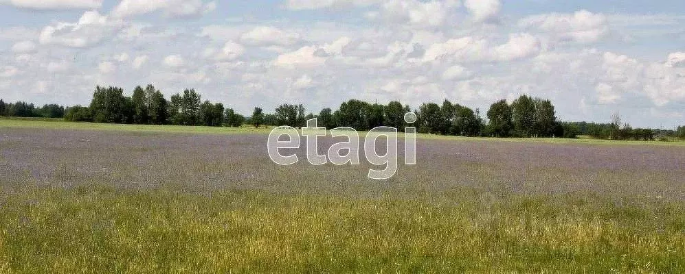 Участок в Калужская область, Перемышль с/пос, д. Жашково  (15.0 сот.) - Фото 2