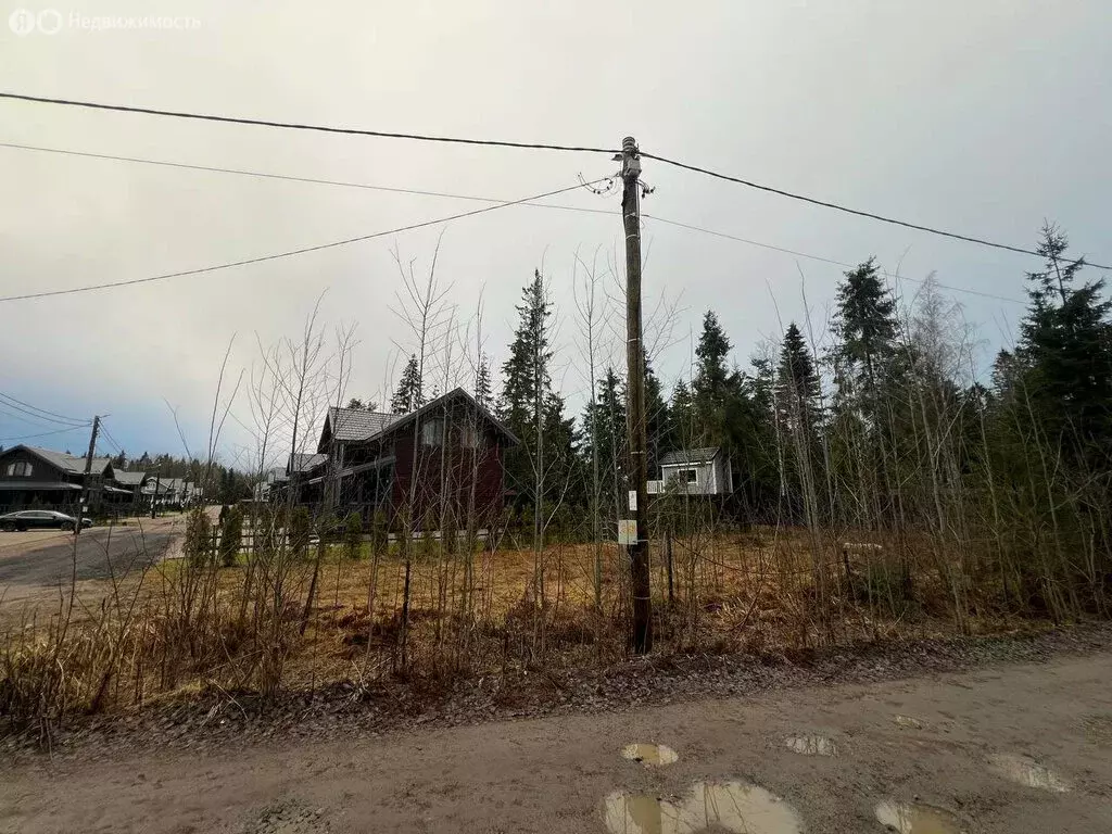 Участок в Приозерский район, Сосновское сельское поселение, деревня ... - Фото 2