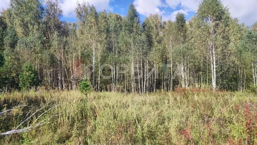 Участок в Тюменская область, Тюменский район, д. Елань 14 (8.14 сот.) - Фото 0