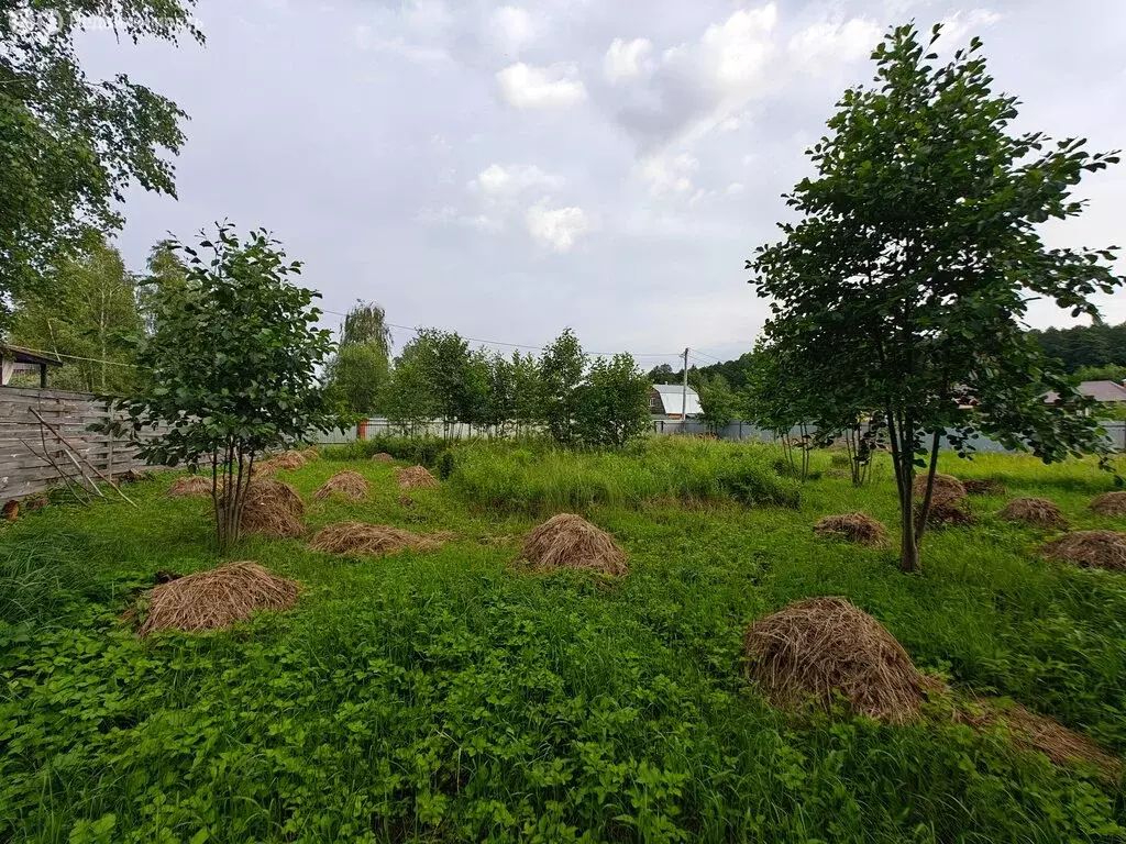 Участок в Щёлково, ТСН Гагаринское-1, Пилотная улица (11.75 м) - Фото 1