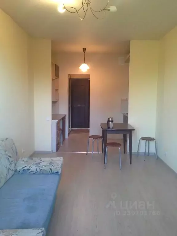 Студия Санкт-Петербург ул. Софьи Ковалевской, 20к1 (24.6 м) - Фото 1