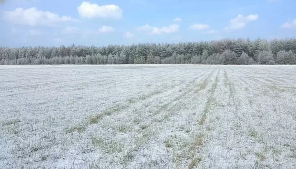 Участок в Тульская область, Щекинский район, Яснополянское с/пос, с. ... - Фото 1