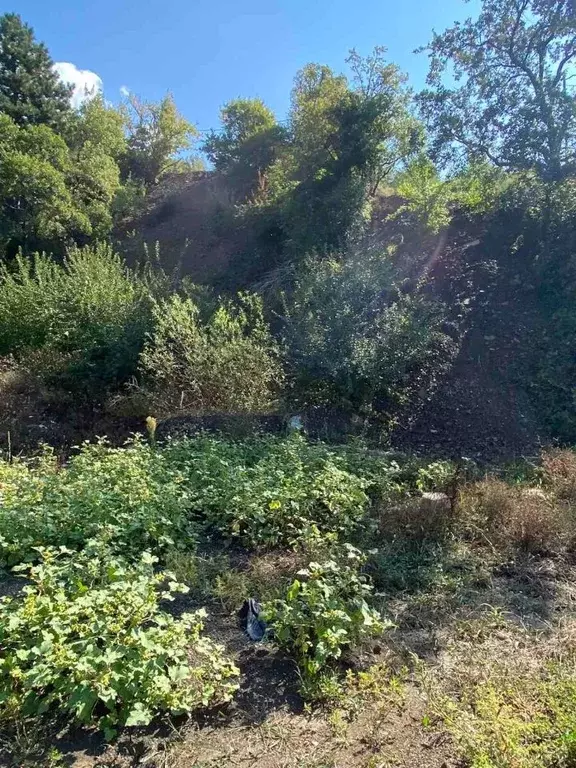 Участок в Крым, Ялта ул. Белобродского, 11 (10.0 сот.) - Фото 1