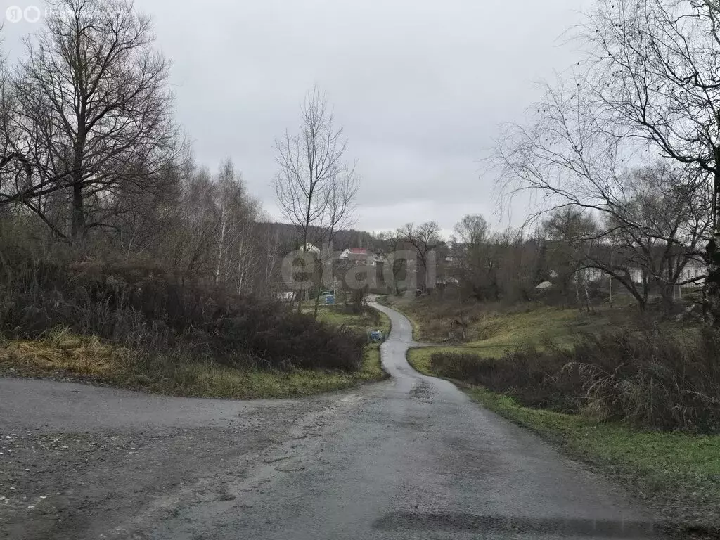 Участок в Брянский район, Снежское сельское поселение, село Толмачево ... - Фото 1