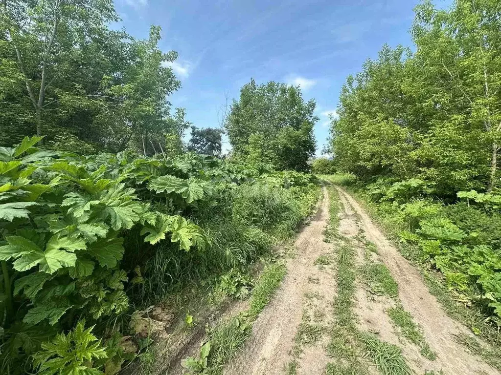 Участок в Владимирская область, Округ Муром городской округ, с. ... - Фото 1