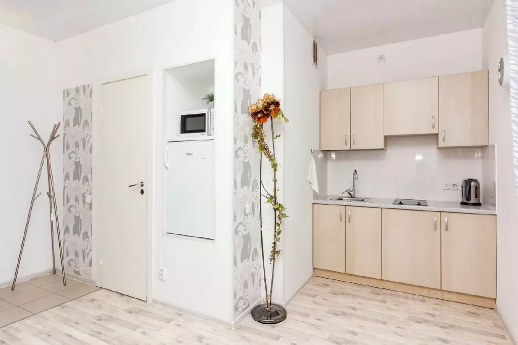 Студия Карелия, Петрозаводск Лыжная ул., 8А (30.0 м) - Фото 1