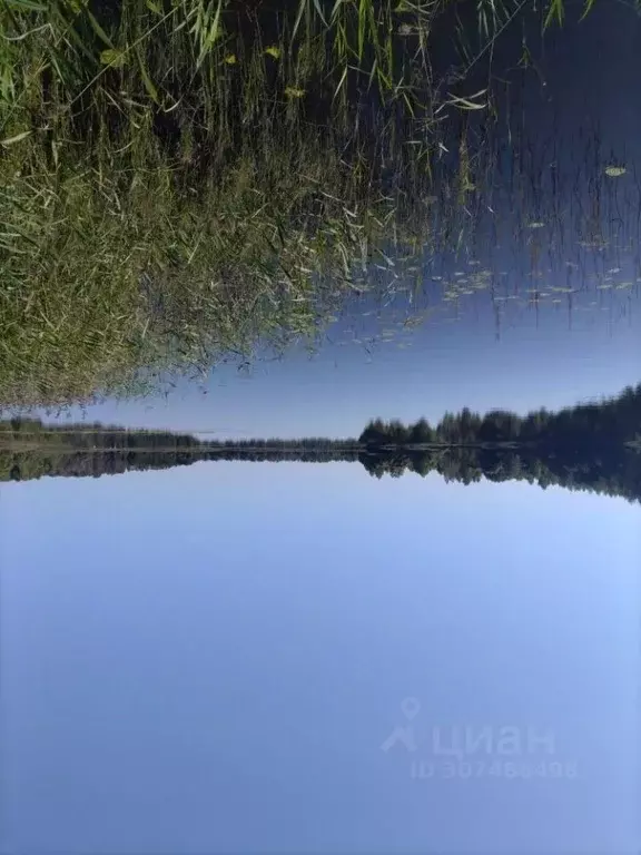 Дом в Тверская область, Кимрский муниципальный округ, д. Слезино  (60 ... - Фото 0