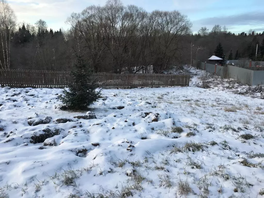 Участок в Московская область, Пушкинский городской округ, д. Раково  ... - Фото 1