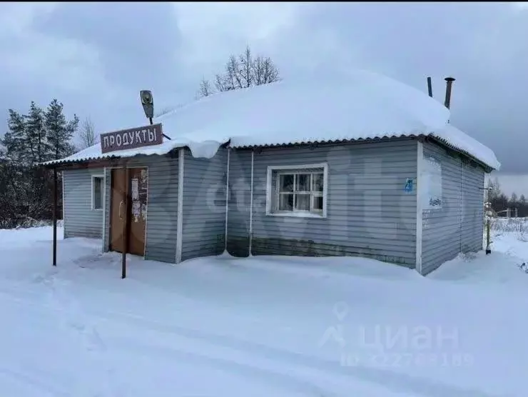 Помещение свободного назначения в Вологодская область, Шекснинский ... - Фото 1