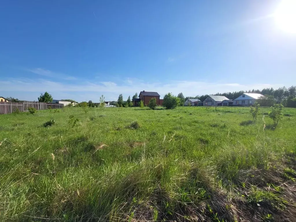 Участок в Татарстан, Тетюши ул. Новаторов (12.0 сот.) - Фото 1