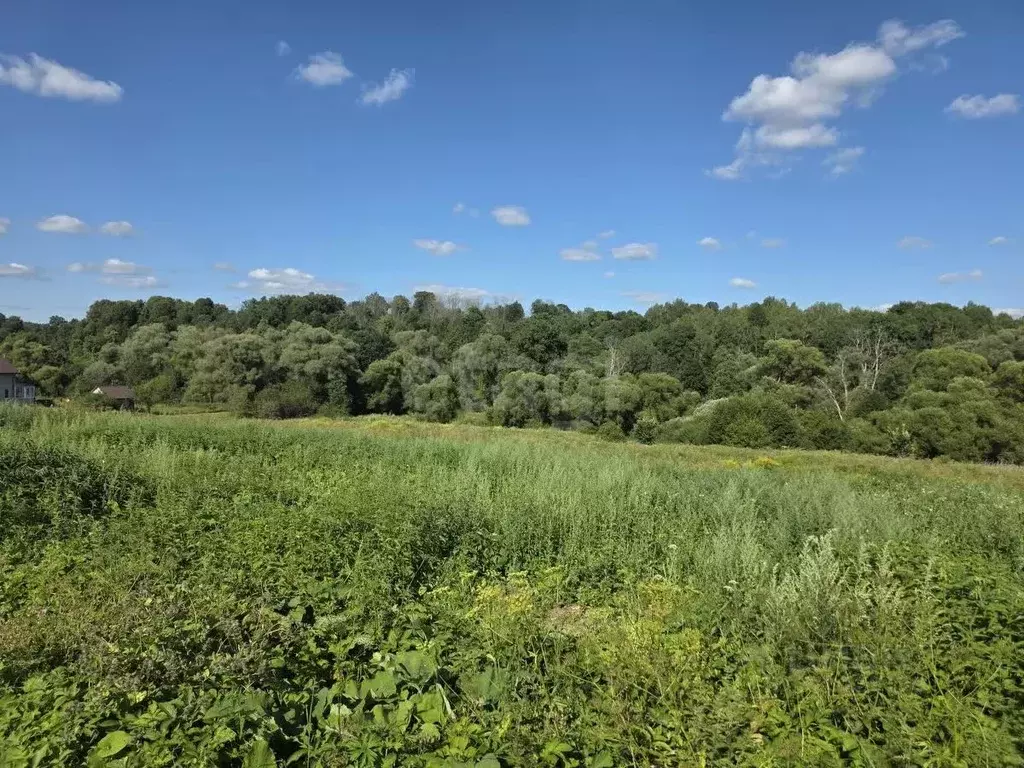 Участок в Калужская область, Перемышльский район, Ахлебинино с/пос, д. ... - Фото 1