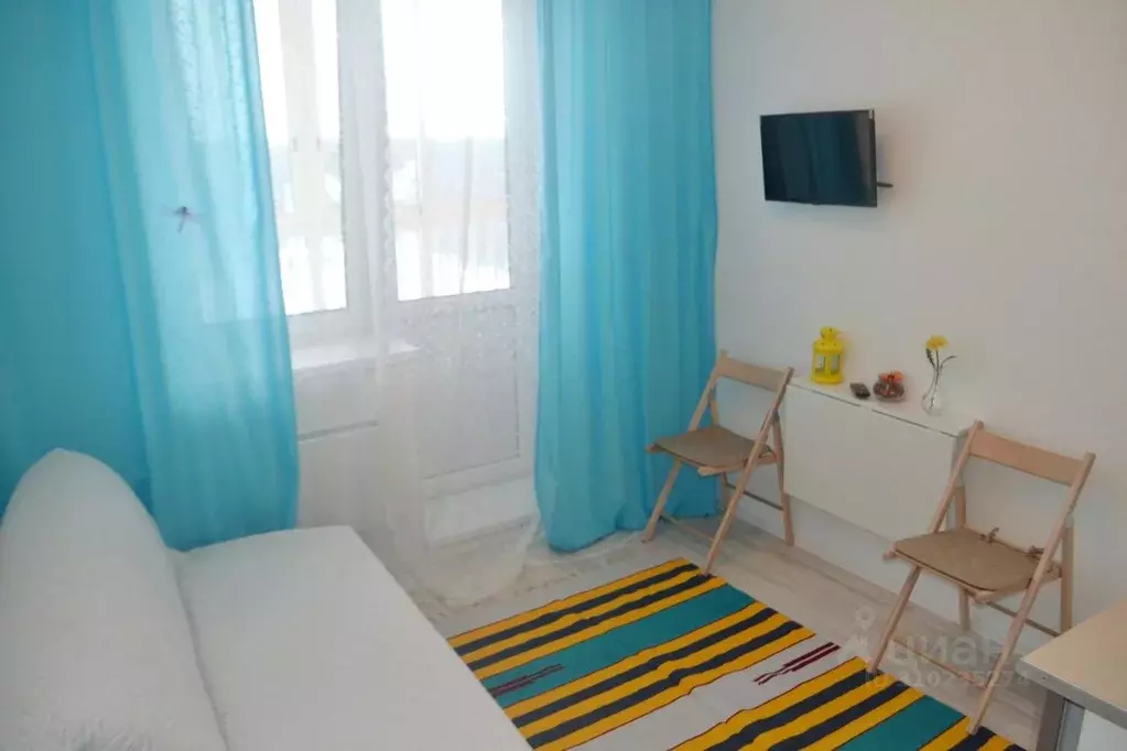 1-к кв. Московская область, Ногинск Богородский городской округ, ул. ... - Фото 2