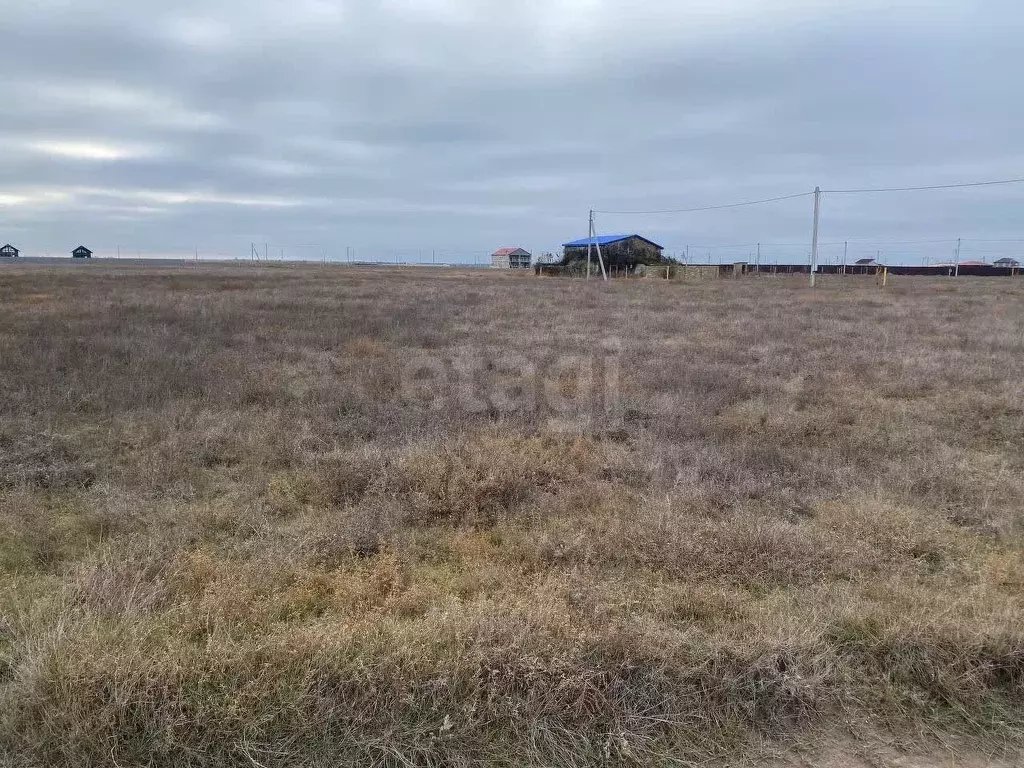 Участок в Крым, Черноморский район, с. Межводное ул. Дружбы (10.0 ... - Фото 1