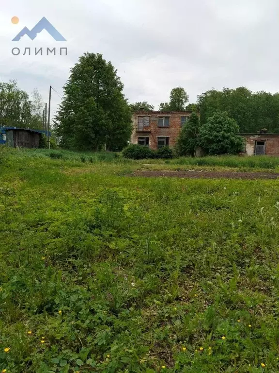 Участок в Вологодская область, д. Семенково-2 19 (5.0 сот.) - Фото 1