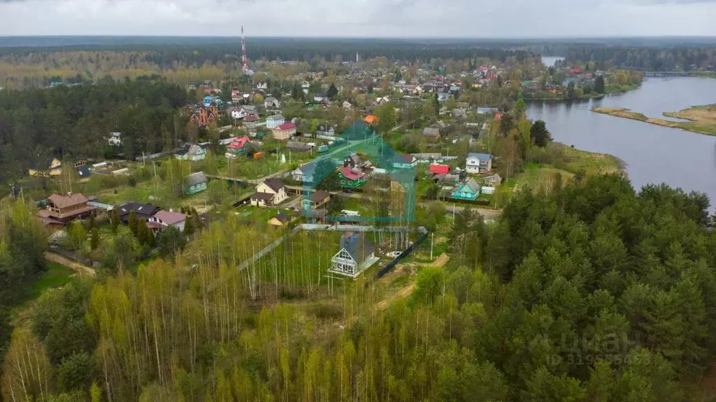 Участок в Ленинградская область, Гатчинский район, Вырица городской ... - Фото 2