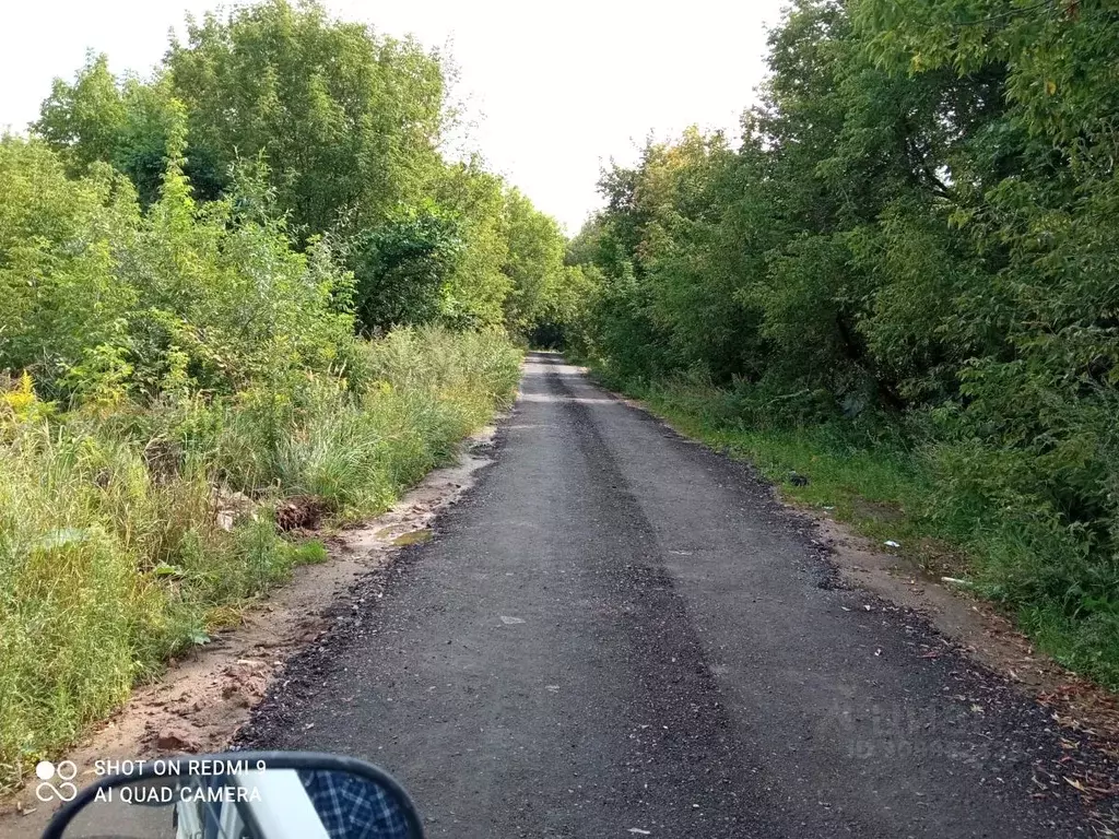 Участок в Московская область, Пушкинский городской округ, Поляны ... - Фото 1