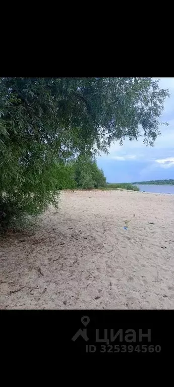 Участок в Ростовская область, Багаевский район, Ажиновское с/пос, ... - Фото 1