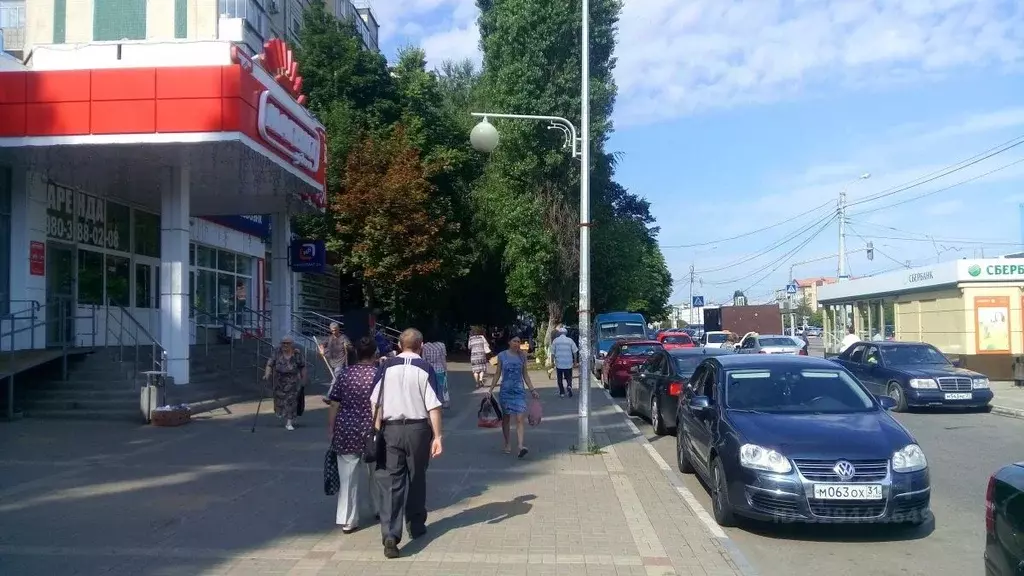 Помещение свободного назначения в Белгородская область, Белгород ул. ... - Фото 1