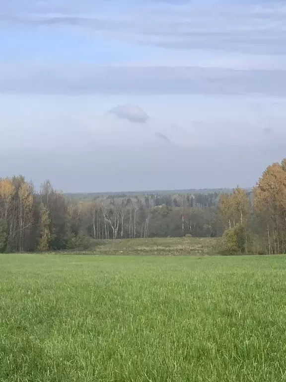 Участок в Московская область, Клин городской округ, д. Пупцево 1А (4.0 ... - Фото 1