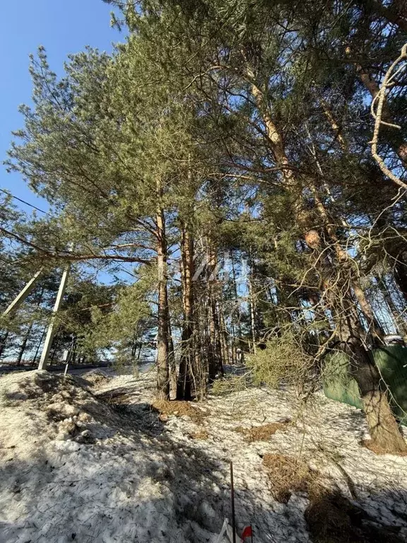 Участок в Московская область, Одинцовский городской округ, с. ... - Фото 1