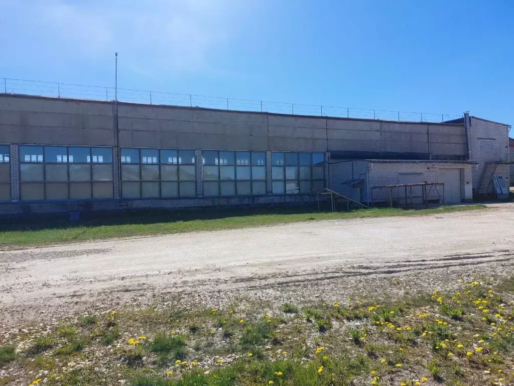 Помещение свободного назначения в Ленинградская область, Гатчинский ... - Фото 2