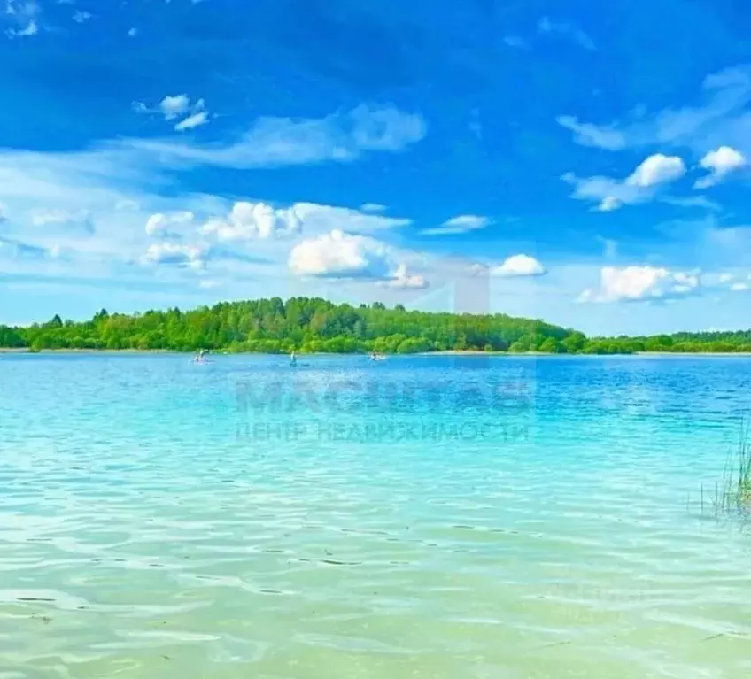 Участок в Ленинградская область, Волосовский район, Калитинское с/пос, ... - Фото 1