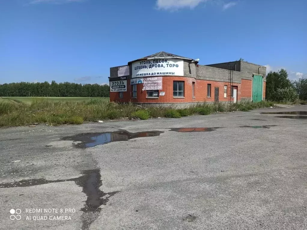 Помещение свободного назначения в Новосибирская область, Тогучинский ... - Фото 0
