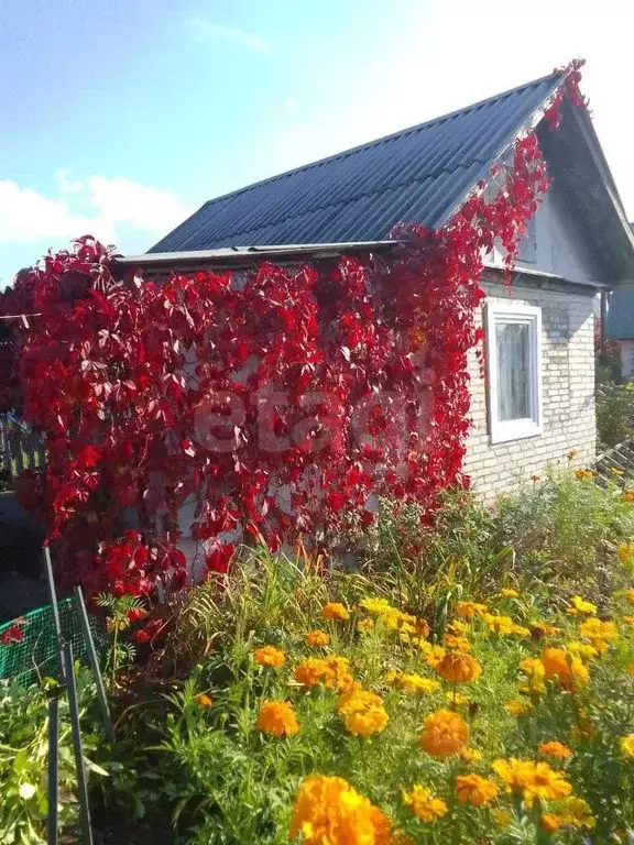 Дом в Новосибирская область, Искитим Зеленый Бор садовое товарищество, ... - Фото 1