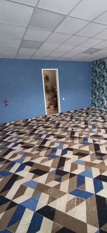 Офис в Новосибирская область, Новосибирск ул. Палласа, 37 (25 м) - Фото 1