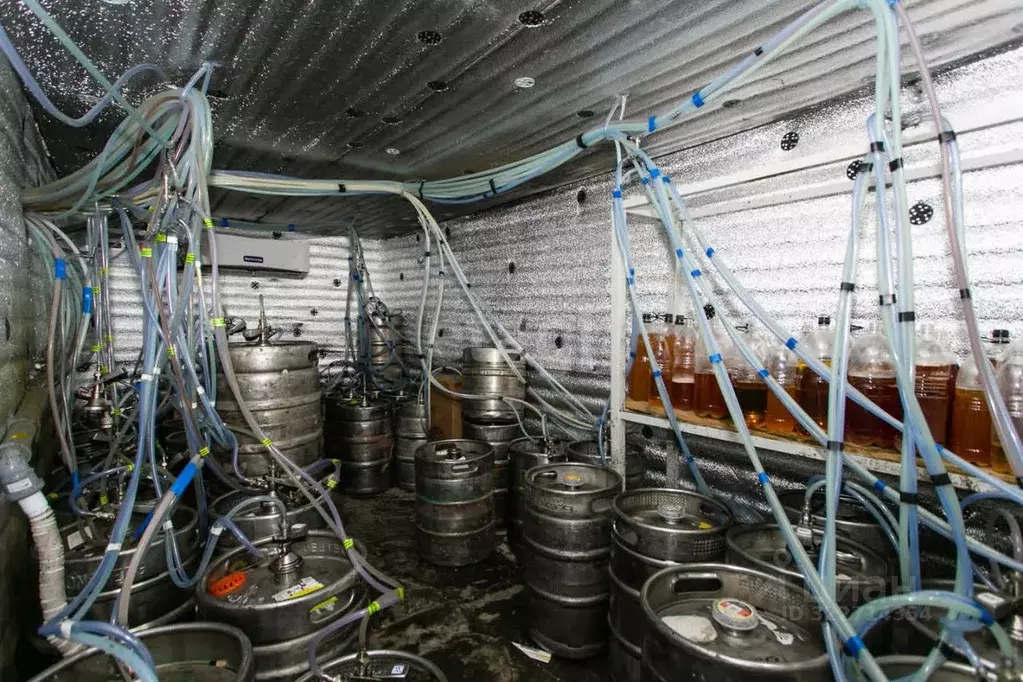 Торговая площадь в Новосибирская область, Новосибирский район, Морской ... - Фото 1