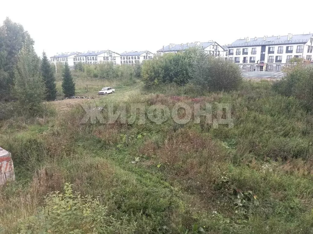 Участок в Новосибирская область, Новосибирский район, Каменский ... - Фото 2