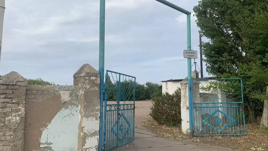 Участок в Воронежская область, Калачеевский район, с. Заброды пер. ... - Фото 2