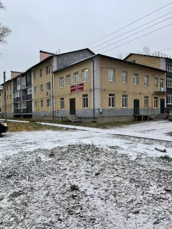 Помещение свободного назначения в Нижегородская область, Чкаловск ул. ... - Фото 1